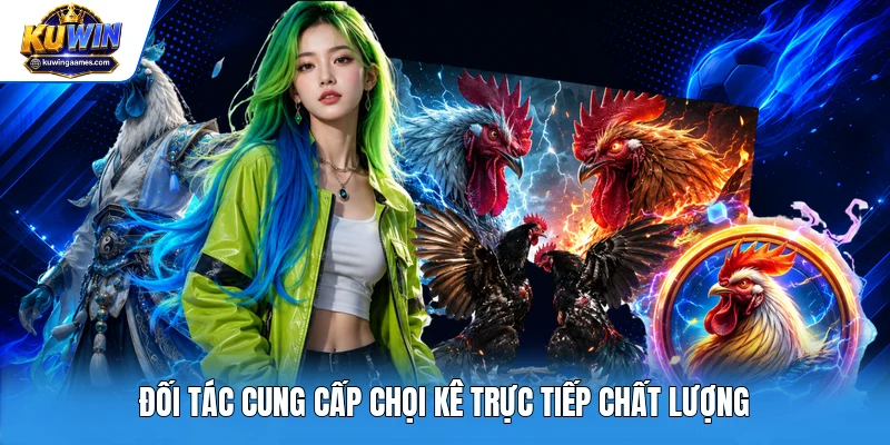 Đối tác cung cấp chọi kê trực tiếp chất lượng