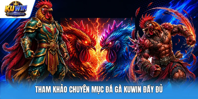 Tham khảo chuyên mục đá gà Kuwin đầy đủ