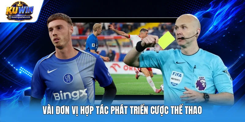 Vài đơn vị hợp tác phát triển cược thể thao